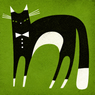 Tuxedo Cat Green Needlepoint Kit for the Beginner by Terry Runyan