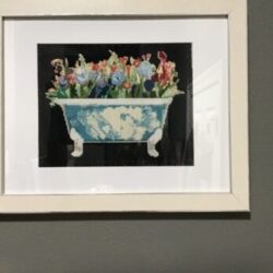 Laura's pretty Bathtub Garden